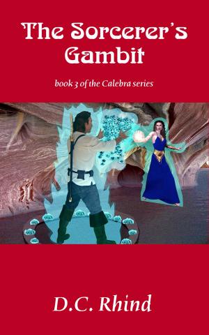 Cover of the book The Sorcerer's Gambit by Malie Olivier