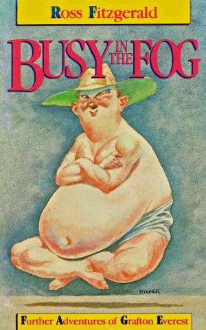 Book cover of Busy In The Fog: Further Adventures of Grafton Everest