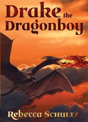 Cover of the book Drake the Dragonboy by 