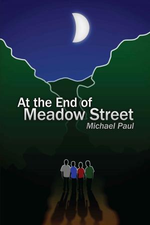 Cover of the book At the End of Meadow Street by Kat Cotton