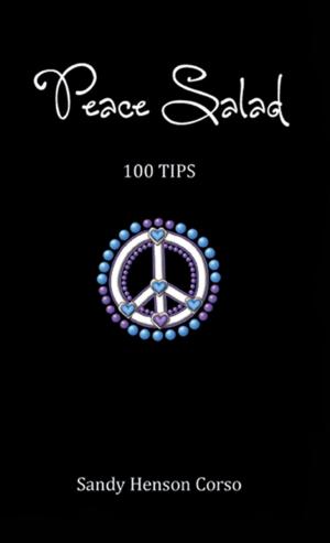 Cover of the book Peace Salad (100 Tips to Inspire a Peaceful Life) by Santoshan (Stephen Wollaston)