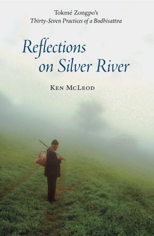 Book cover of Reflections on Silver River