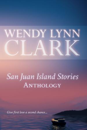 Cover of the book San Juan Island Stories Anthology by Chris Lee Hodges