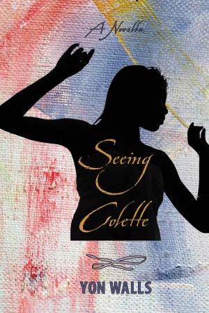 Cover of the book Seeing Colette by Fabio Cosio