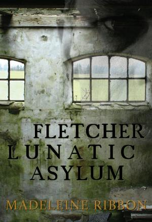 Cover of the book Fletcher Lunatic Asylum by Valerie Parv