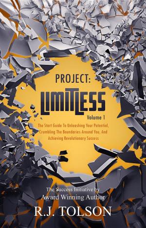 Cover of The Success Initiative (Project: Limitless, Volume 1)