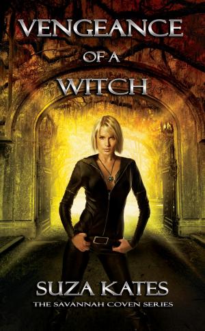 Cover of the book Vengeance of a Witch by Ashlyn Hunter