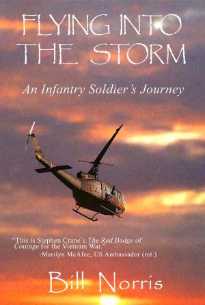 Cover of the book Flying Into The Storm by Richard Fenigsen, Antony Polonsky