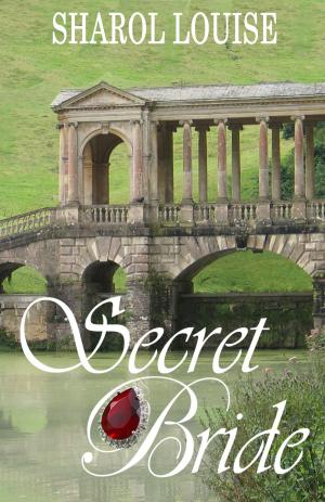 Cover of the book Secret Bride by B. G. Brainard