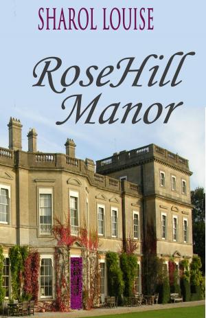 Cover of the book RoseHill Manor by Megan Chance