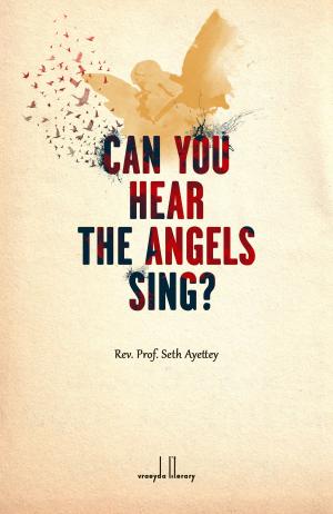 Cover of the book Can You Hear The Angels Sing? by Paul Reidinger