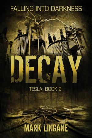 Cover of the book Decay by Ira Steven Behr, Robert Hewitt Wolfe