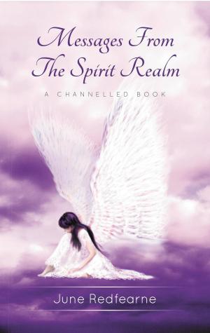 Cover of the book Messages From The Spirit Realm by Klaus Heinemann, Ph.D., Miceal Ledwith, Ph.D.