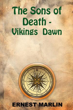 Book cover of Vikings Dawn
