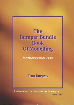 bigCover of the book The Bumper Bundle Book of Modelling by 