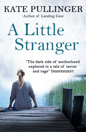 Book cover of A Little Stranger