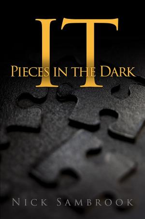 Cover of It - Pieces in the Dark