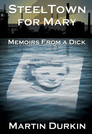 Cover of the book SteelTown for Mary by Ross Thomas