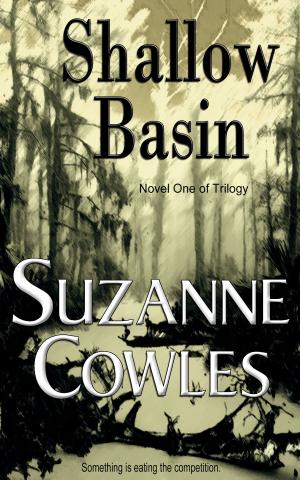 Cover of the book Shallow Basin by Denise Domning