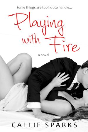 Cover of the book Playing with Fire by Jenny Hickman