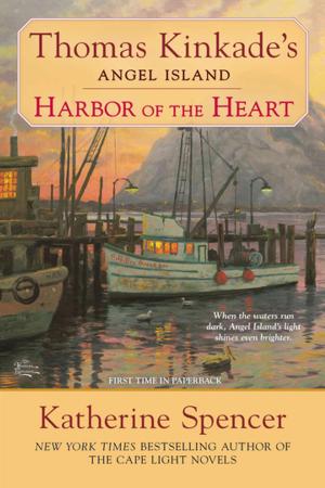 Cover of the book Harbor of the Heart by David Stone