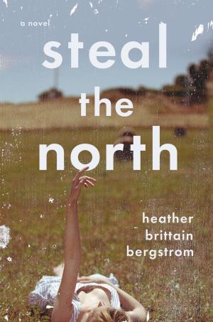 Cover of the book Steal the North by Zelda la Grange