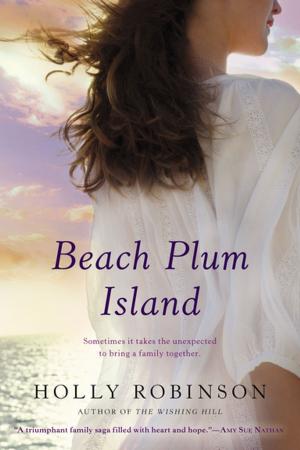 Book cover of Beach Plum Island