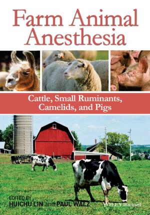 Cover of the book Farm Animal Anesthesia by J. F. P. Galvin