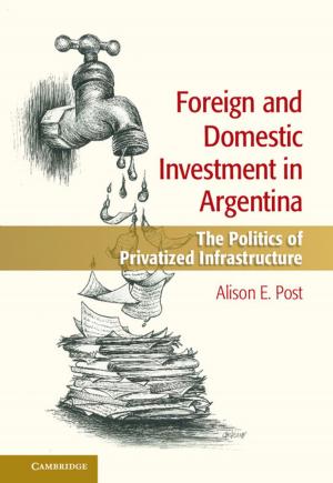 Cover of the book Foreign and Domestic Investment in Argentina by M. P. Hobson, G. P. Efstathiou, A. N. Lasenby