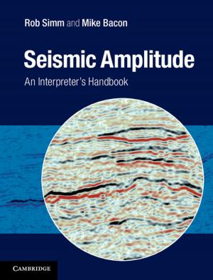 Cover of the book Seismic Amplitude by Alena V. Ledeneva