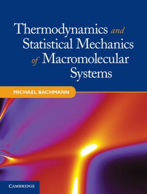 Cover of the book Thermodynamics and Statistical Mechanics of Macromolecular Systems by Francesco Russo, Maarten Pieter Schinkel, Andrea Günster, Martin Carree