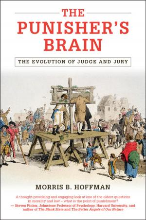 Cover of the book The Punisher's Brain by Yuriy A. Garbovskiy, Anatoliy V. Glushchenko