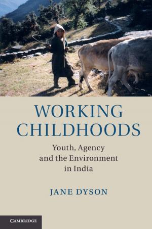 Cover of the book Working Childhoods by Dr Marina Foltea