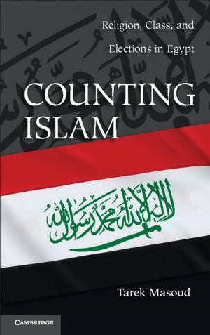 Cover of the book Counting Islam by Steven J. Dick