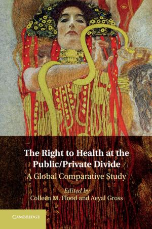 Cover of the book The Right to Health at the Public/Private Divide by 