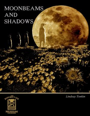 bigCover of the book Moonbeams and Shadows by 