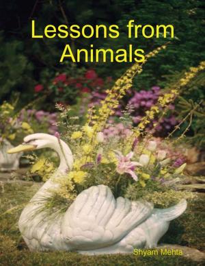 Book cover of Lessons from Animals