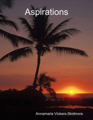 Cover of the book Aspirations by John Fazenbaker