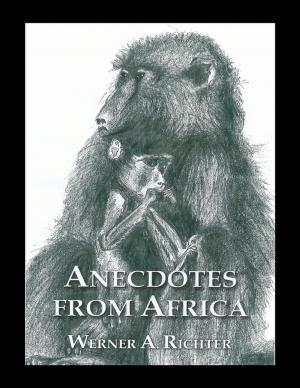 Cover of the book Anecdotes from Africa by Rob Rice