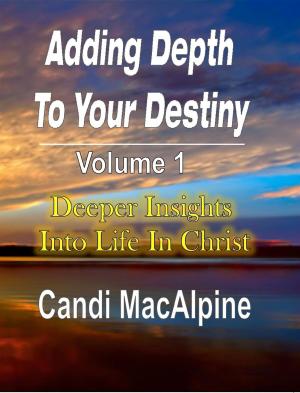 Cover of the book Adding Depth To Your Destiny by Raelynn Parkin