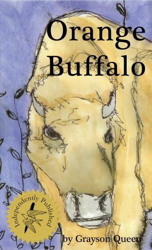 bigCover of the book Orange Buffalo by 