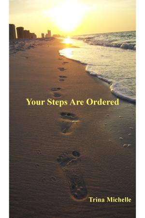 Cover of the book Your Steps Are Ordered by Lavina Giamusso