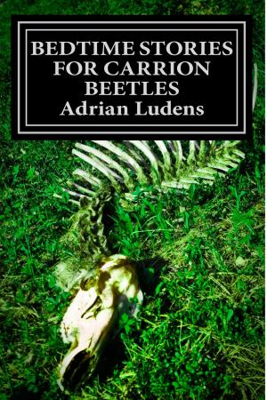 Cover of the book Bedtime Stories for Carrion Beetles by Samantha Lienhard