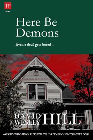 bigCover of the book Here Be Demons by 
