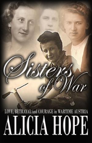 Cover of the book Sisters of War by Amanda Wilhelm