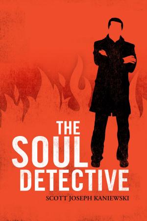 Cover of the book The Soul Detective by Nigel G. Mitchell