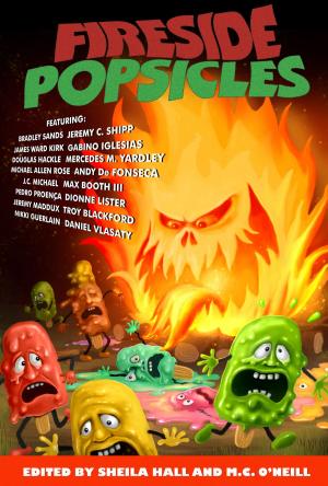 Cover of the book Fireside Popsicles by Orneck Amanda