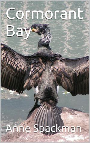 Cover of Cormorant Bay