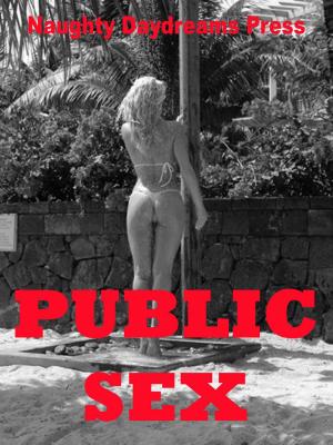 Cover of the book Public Sex by Naughty Daydreams Press