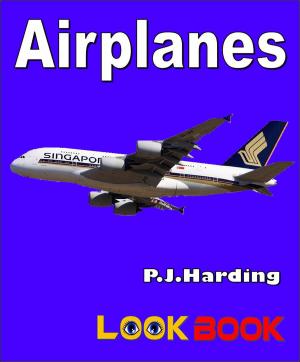 Cover of the book Airplanes by J